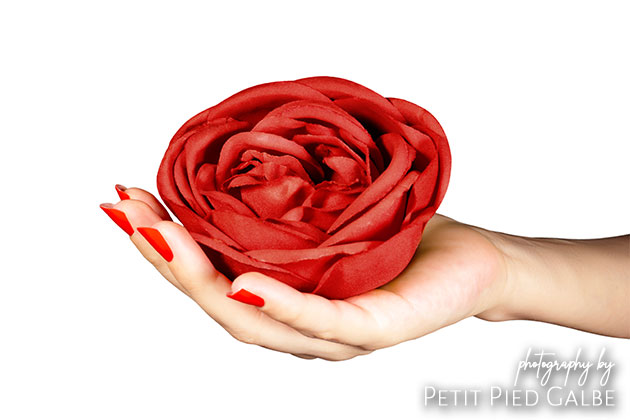 Close-up on a model holding beautiful red rose in her hand against the white background.